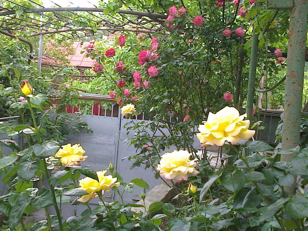 Tbilisi Guesthouse Nini מראה חיצוני תמונה